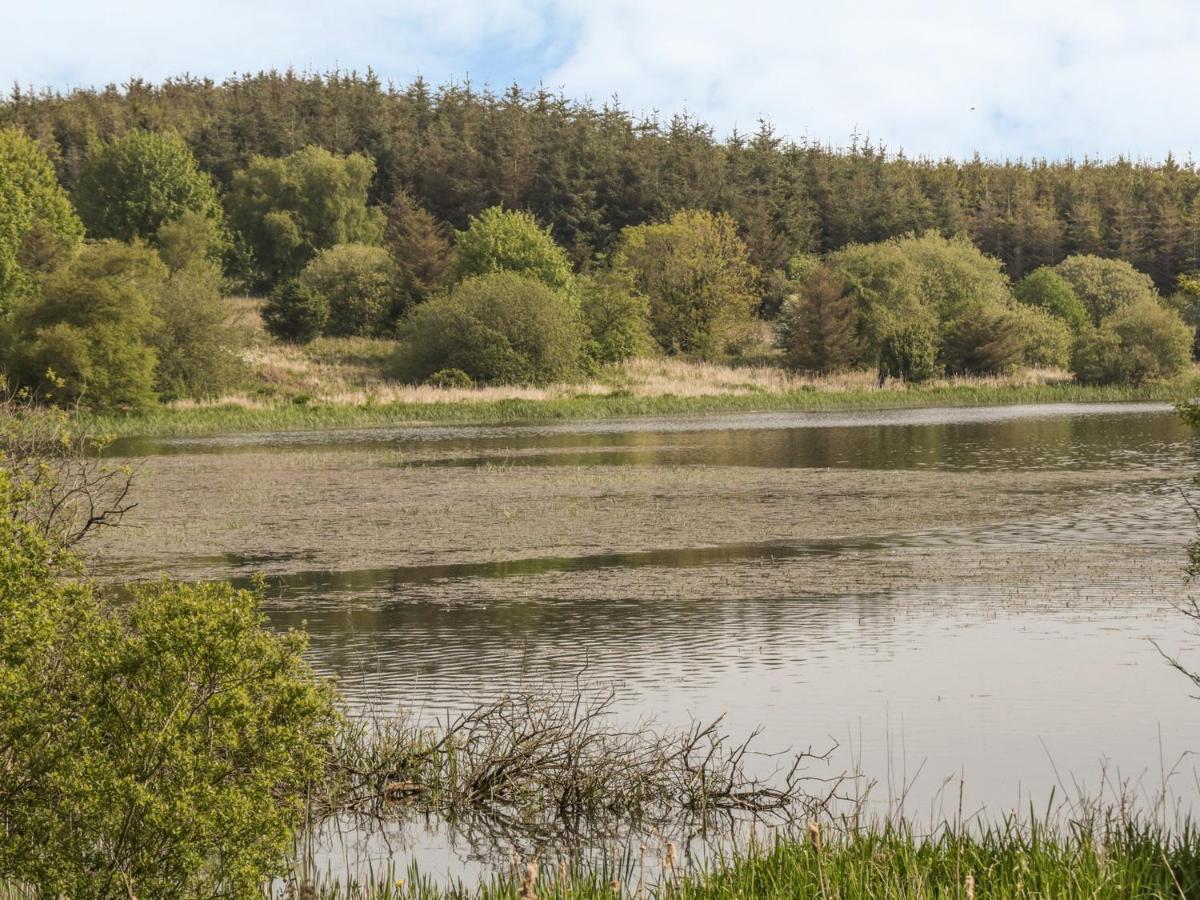 Vila Bwlch Y Gwynt Bach Llangefni Exteriér fotografie